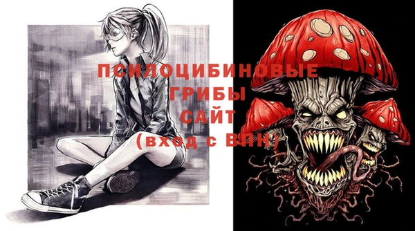 дурь Касимов