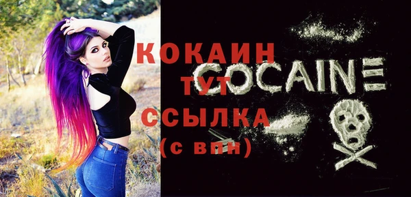 дурь Каменка