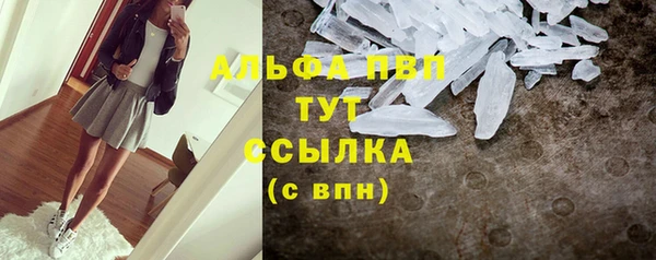 дурь Каменка