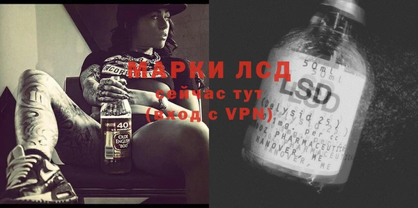 крисы Карпинск