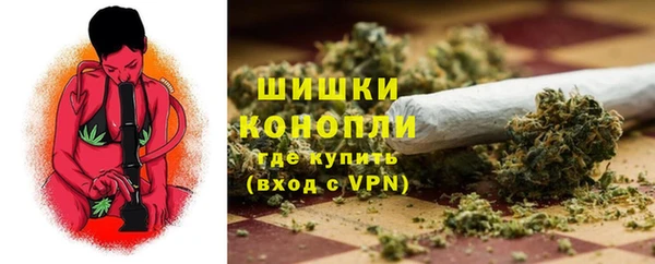 крисы Карпинск