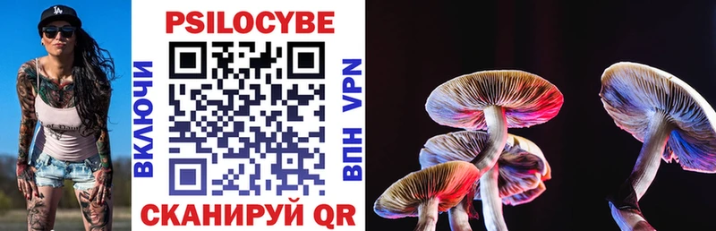 Галлюциногенные грибы Psilocybe  Котовск 