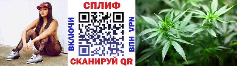 что такое   Котовск  Конопля ГИДРОПОН 